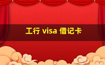 工行 visa 借记卡